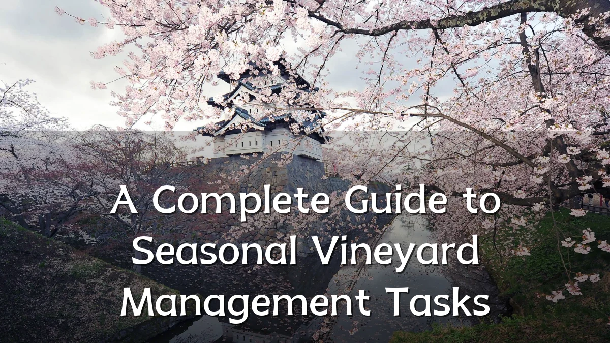 A Complete Guide to Seasonal Vineyard Management Tasks