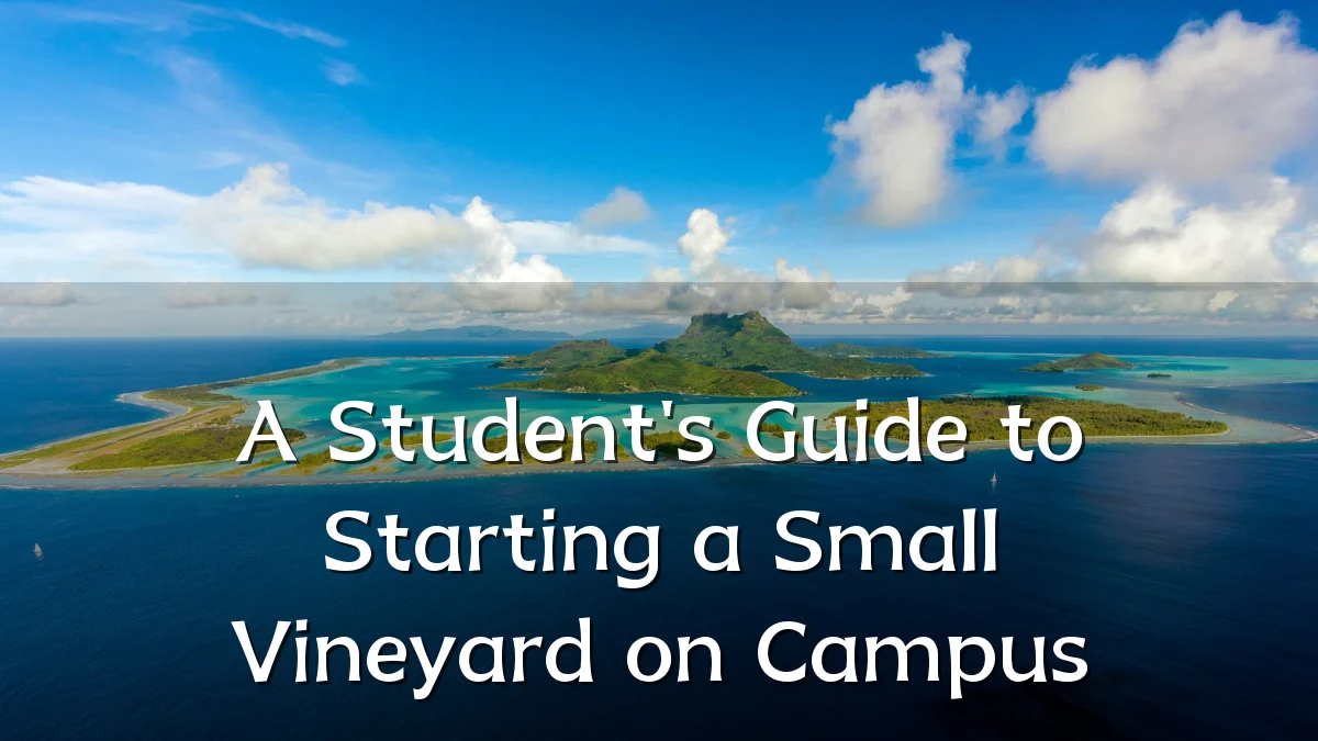A Student's Guide to Starting a Small Vineyard on Campus