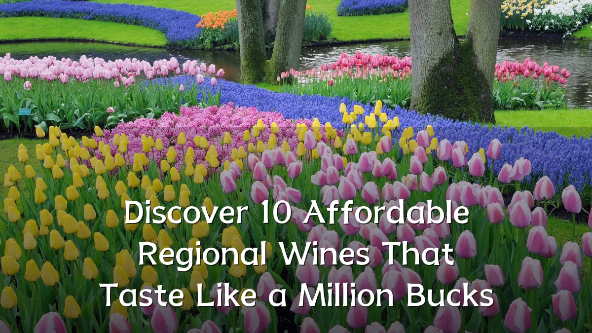 Discover 10 Affordable Regional Wines That Taste Like a Million Bucks