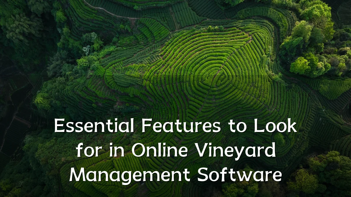 Essential Features to Look for in Online Vineyard Management Software