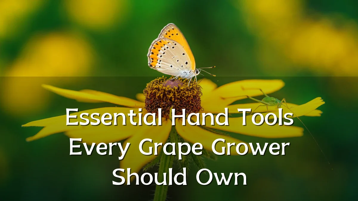 Essential Hand Tools Every Grape Grower Should Own