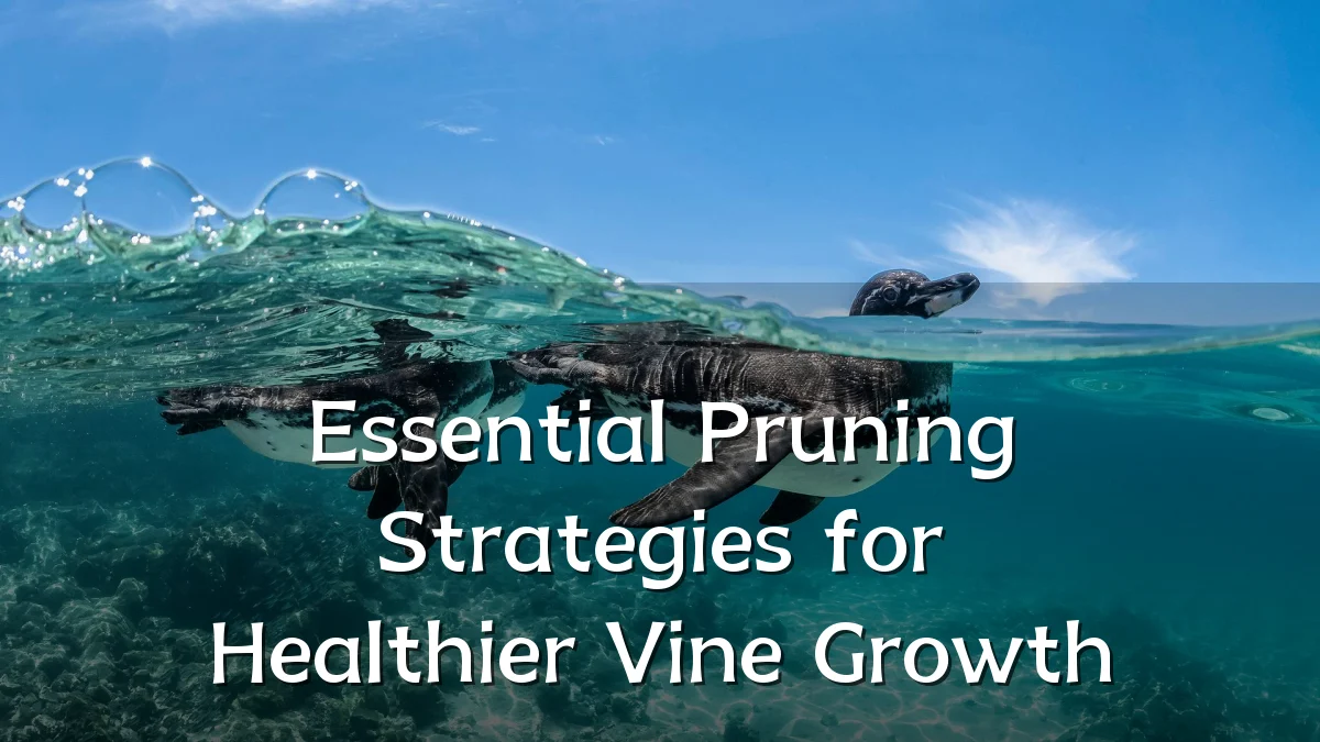 Essential Pruning Strategies for Healthier Vine Growth