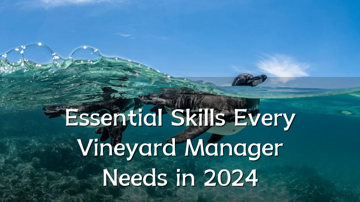 Essential Skills Every Vineyard Manager Needs in 2024