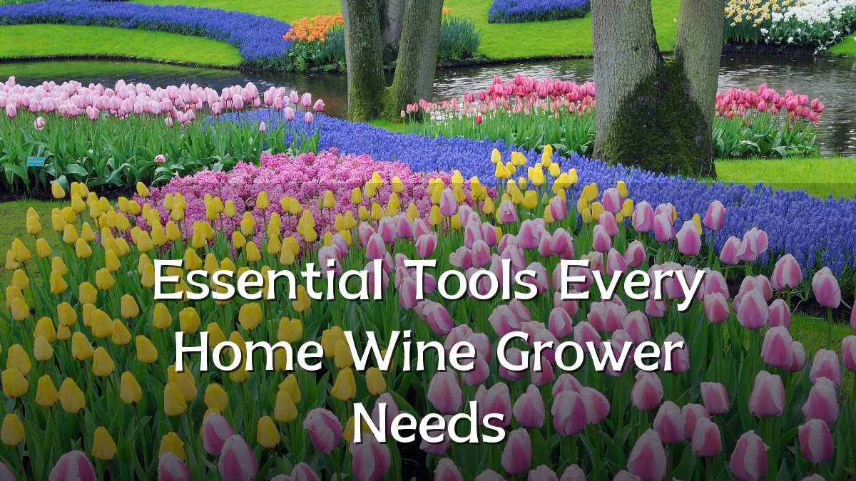 Essential Tools Every Home Wine Grower Needs
