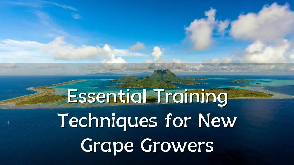 Essential Training Techniques for New Grape Growers