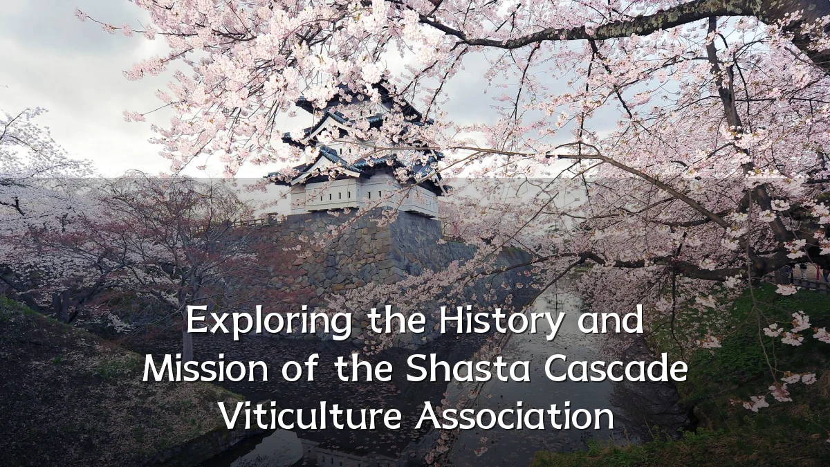 Exploring the History and Mission of the Shasta Cascade Viticulture Association