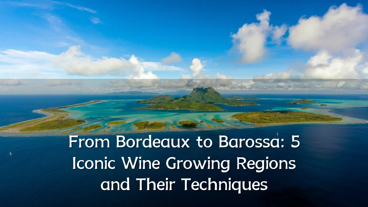 From Bordeaux to Barossa: 5 Iconic Wine Growing Regions and Their Techniques