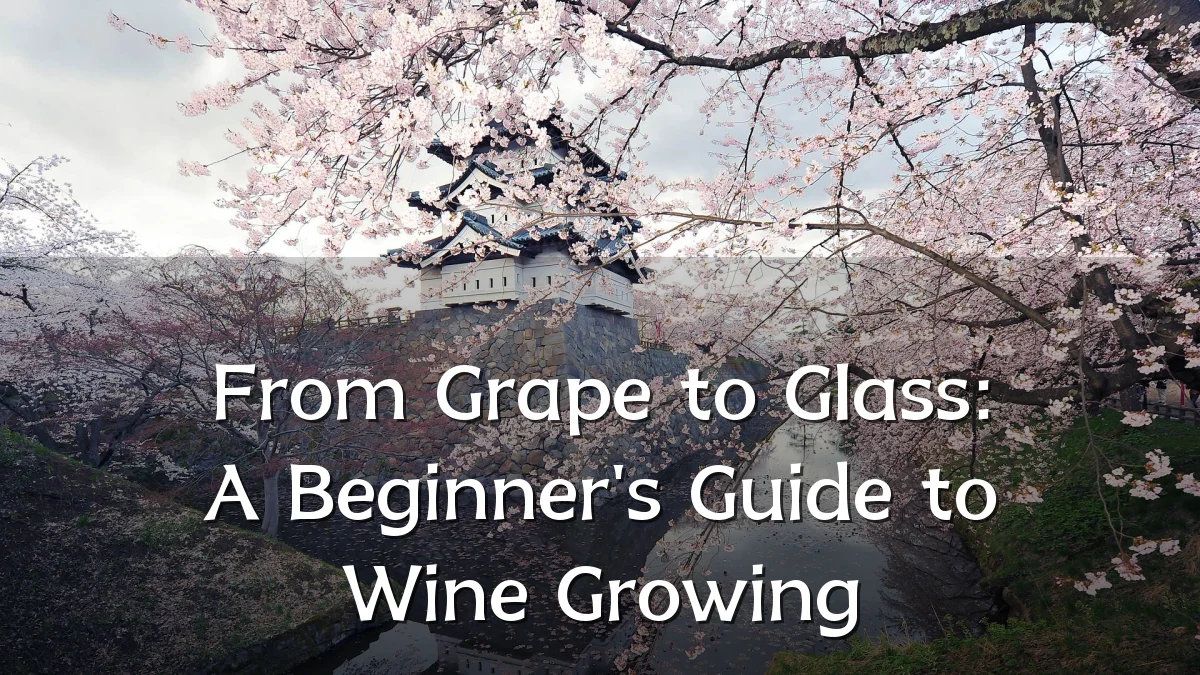 From Grape to Glass: A Beginner's Guide to Wine Growing