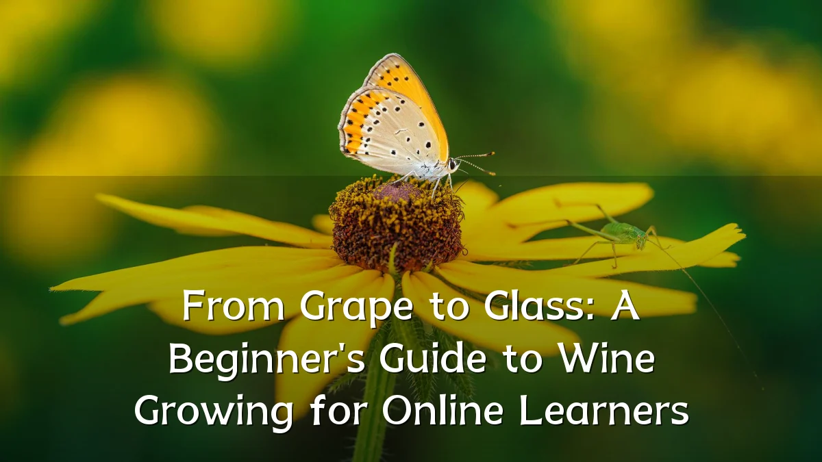 From Grape to Glass: A Beginner's Guide to Wine Growing for Online Learners