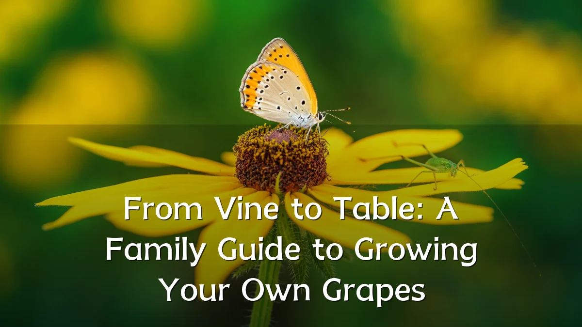 From Vine to Table: A Family Guide to Growing Your Own Grapes