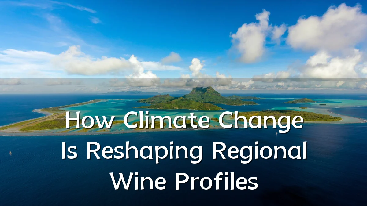 How Climate Change Is Reshaping Regional Wine Profiles