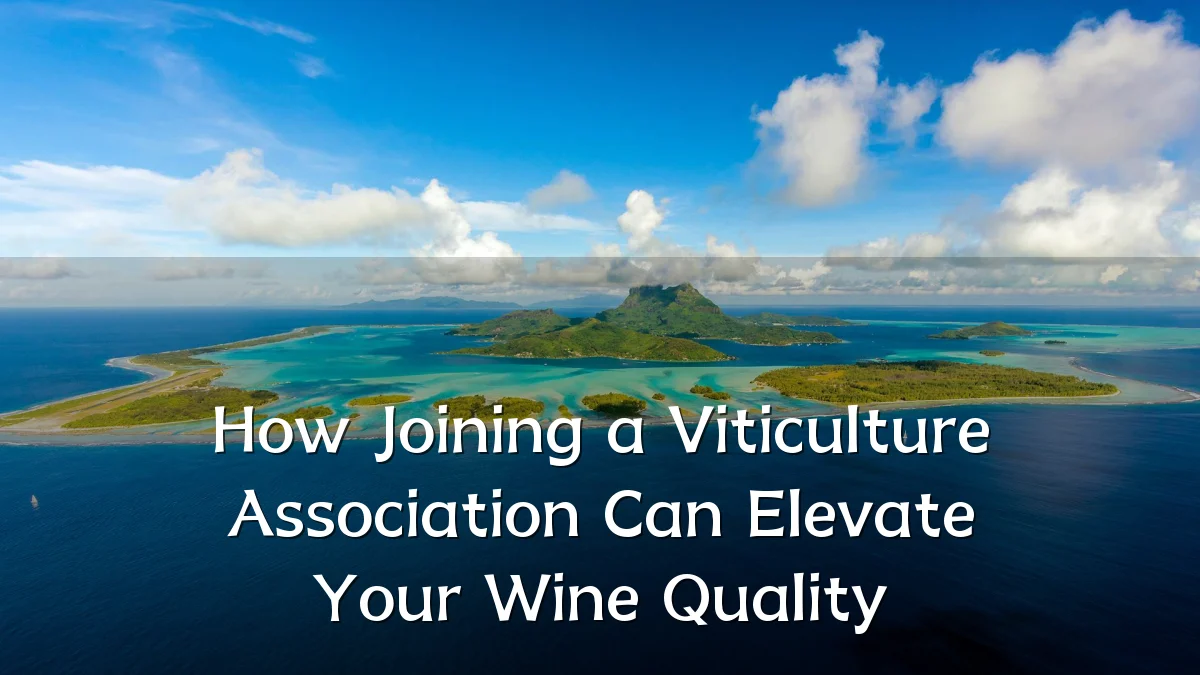 How Joining a Viticulture Association Can Elevate Your Wine Quality