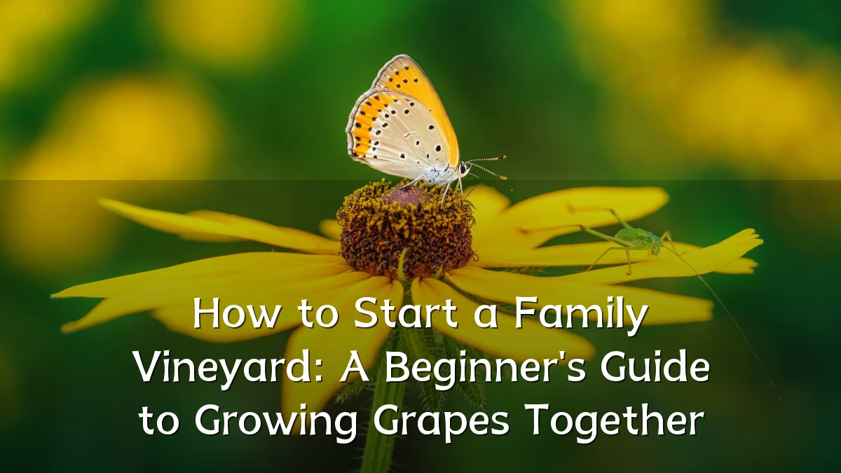 How to Start a Family Vineyard: A Beginner's Guide to Growing Grapes Together