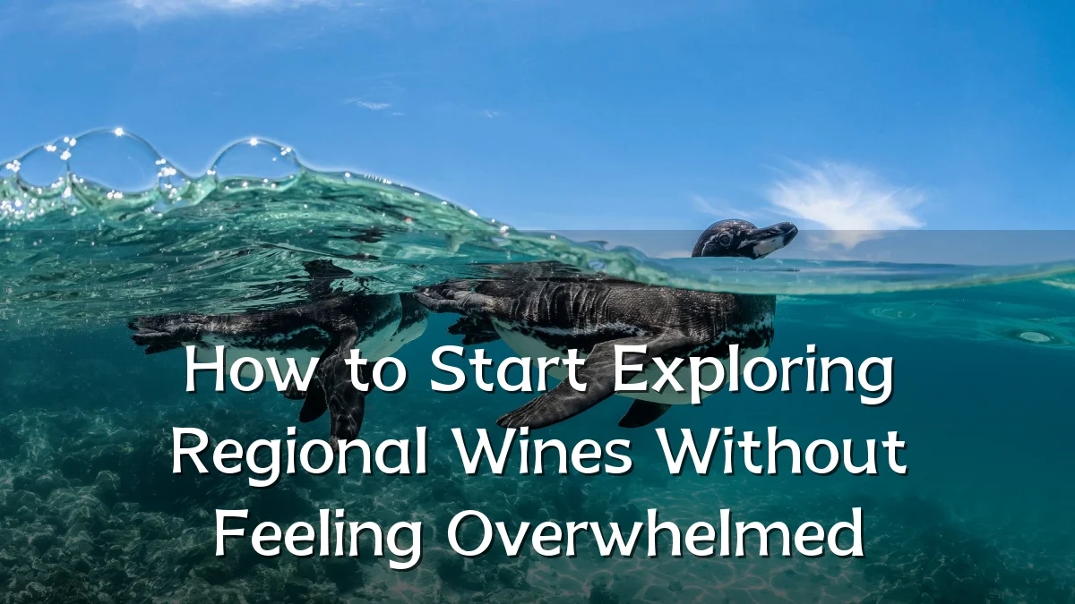 How to Start Exploring Regional Wines Without Feeling Overwhelmed