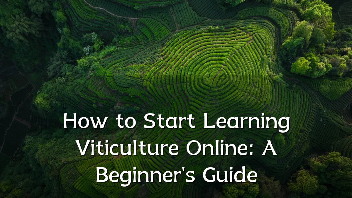 How to Start Learning Viticulture Online: A Beginner's Guide