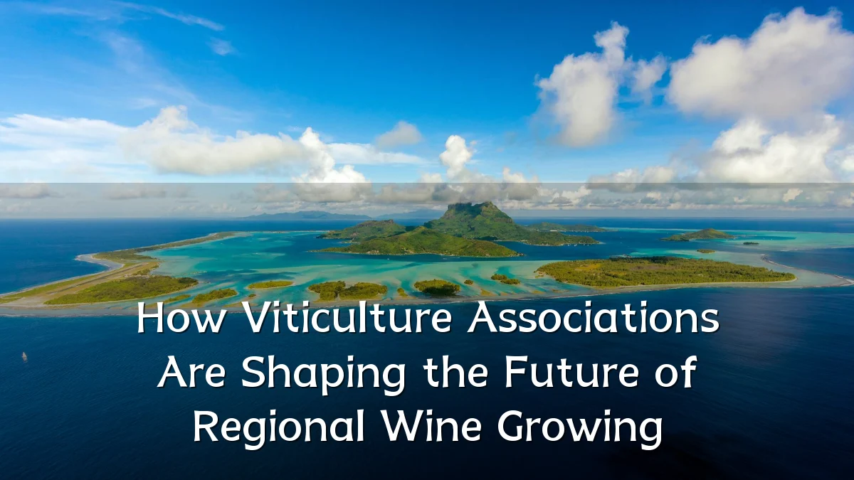 How Viticulture Associations Are Shaping the Future of Regional Wine Growing