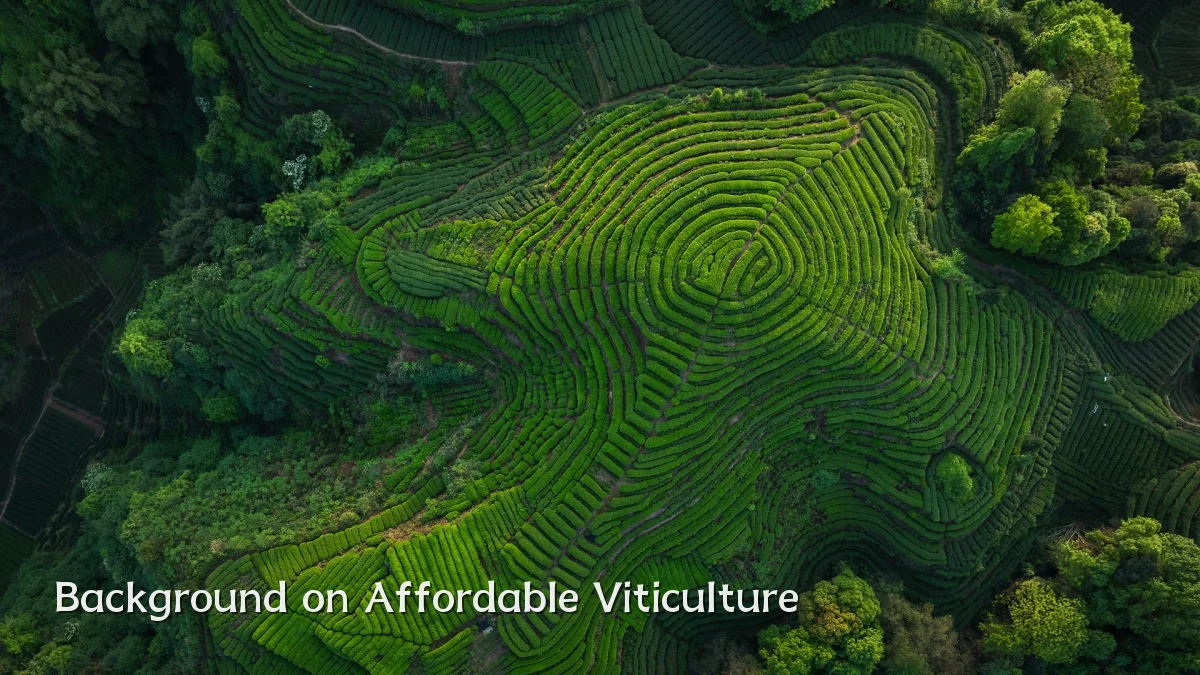 Background on Affordable Viticulture