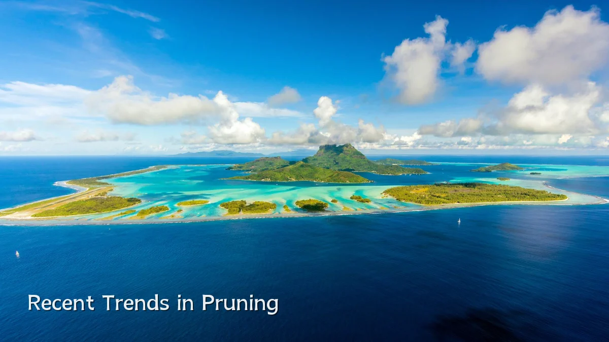 Recent Trends in Pruning