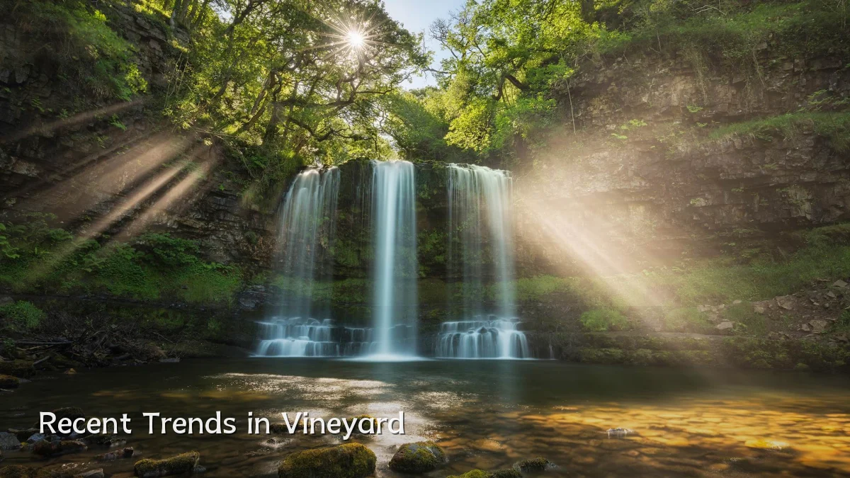 Recent Trends in Vineyard