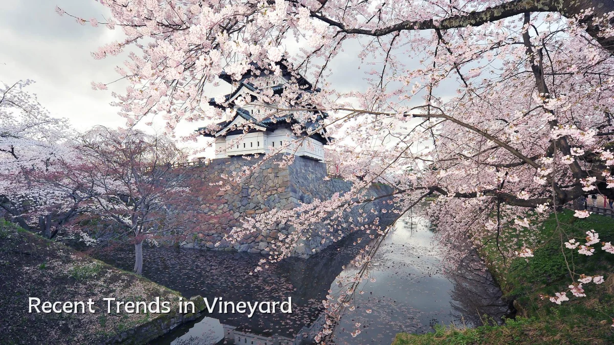 Recent Trends in Vineyard