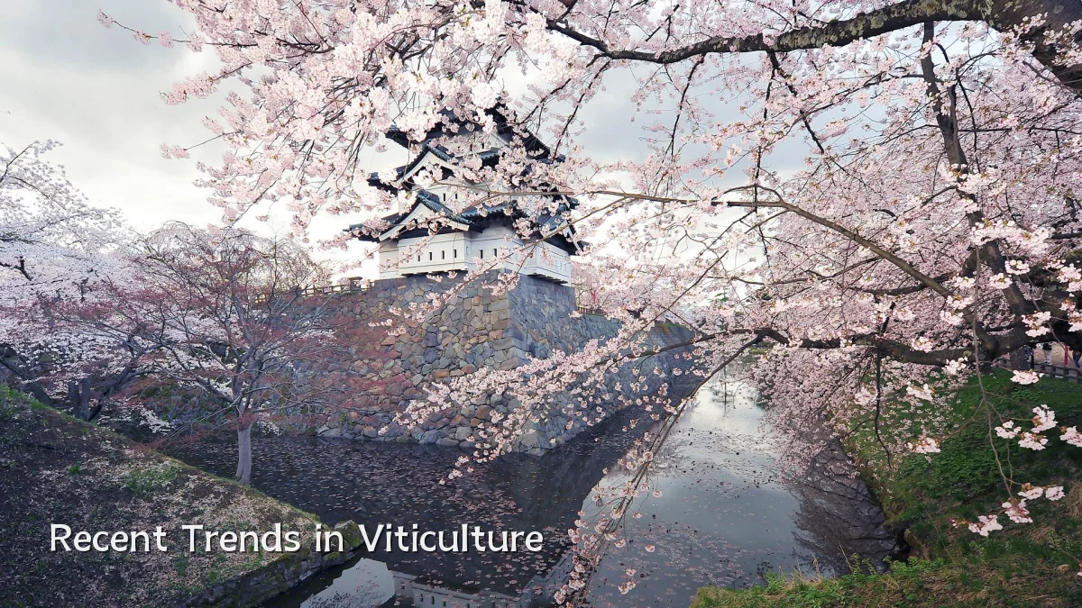 Recent Trends in Viticulture