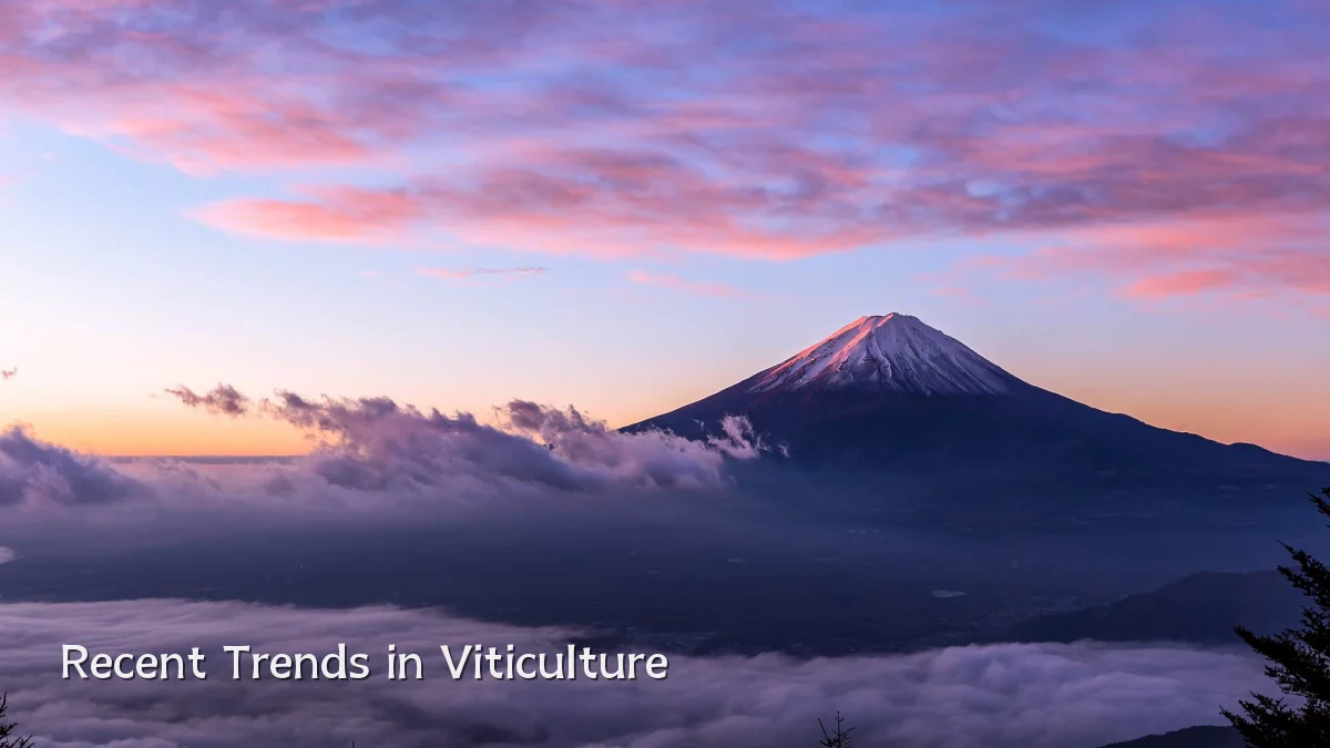 Recent Trends in Viticulture