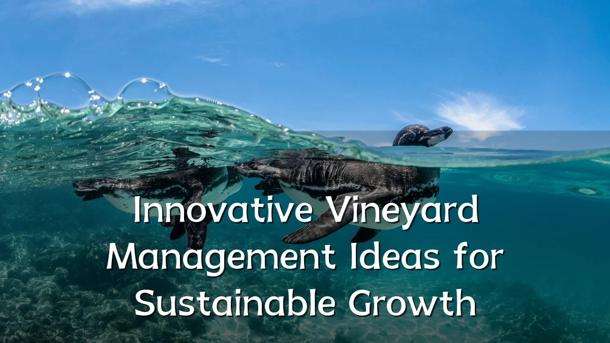 Innovative Vineyard Management Ideas for Sustainable Growth