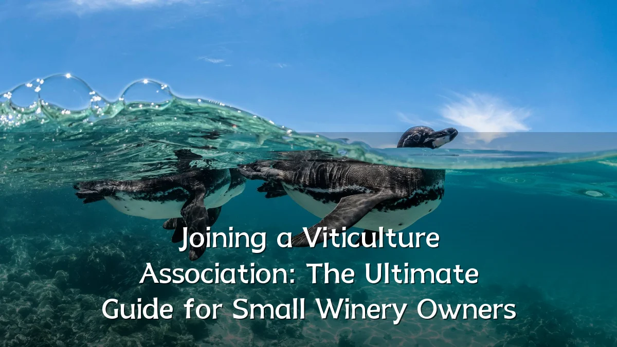 Joining a Viticulture Association: The Ultimate Guide for Small Winery Owners