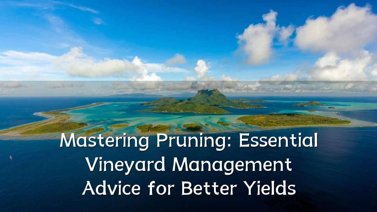 Mastering Pruning: Essential Vineyard Management Advice for Better Yields