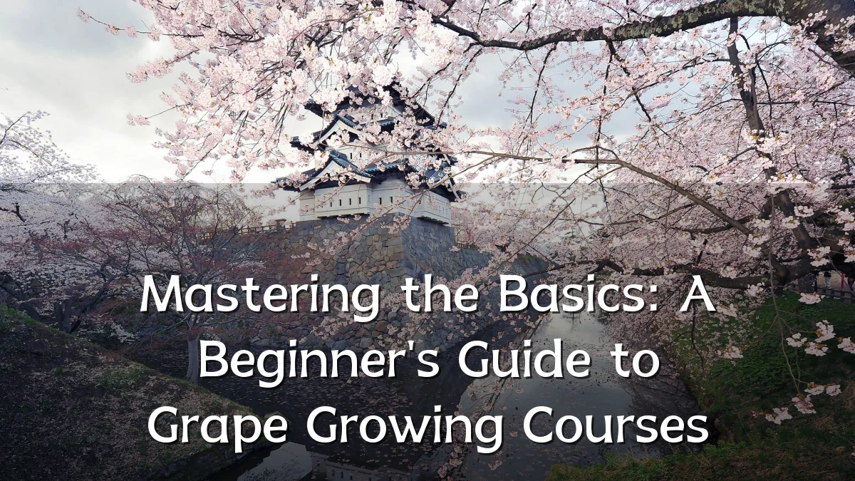 Mastering the Basics: A Beginner's Guide to Grape Growing Courses