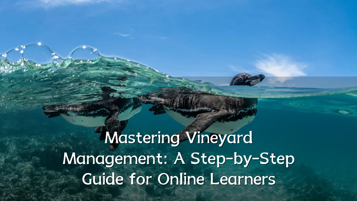 Mastering Vineyard Management: A Step-by-Step Guide for Online Learners