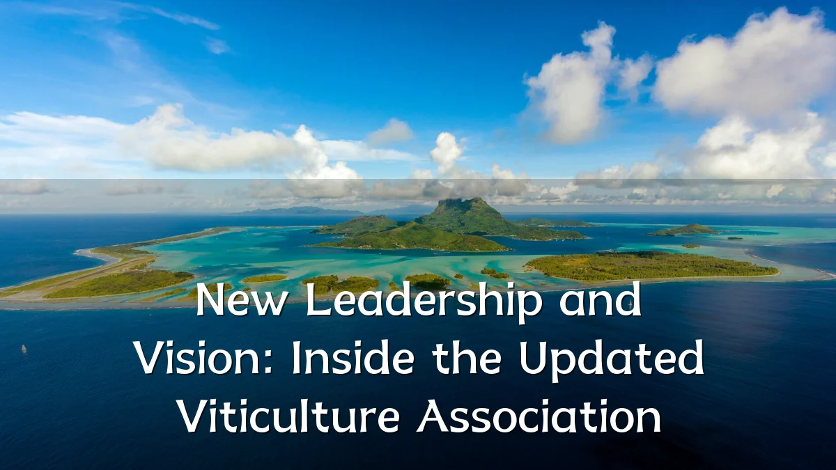 New Leadership and Vision: Inside the Updated Viticulture Association