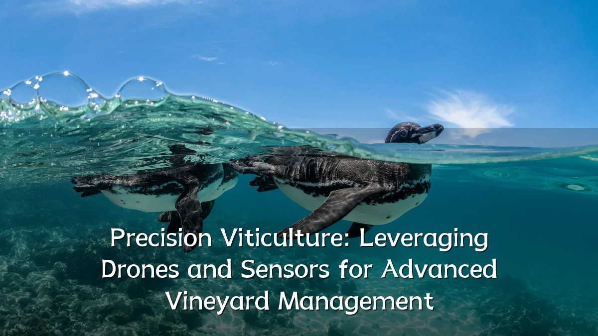 Precision Viticulture: Leveraging Drones and Sensors for Advanced Vineyard Management