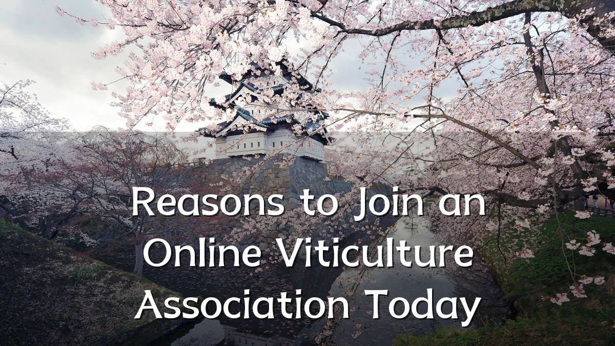Reasons to Join an Online Viticulture Association Today