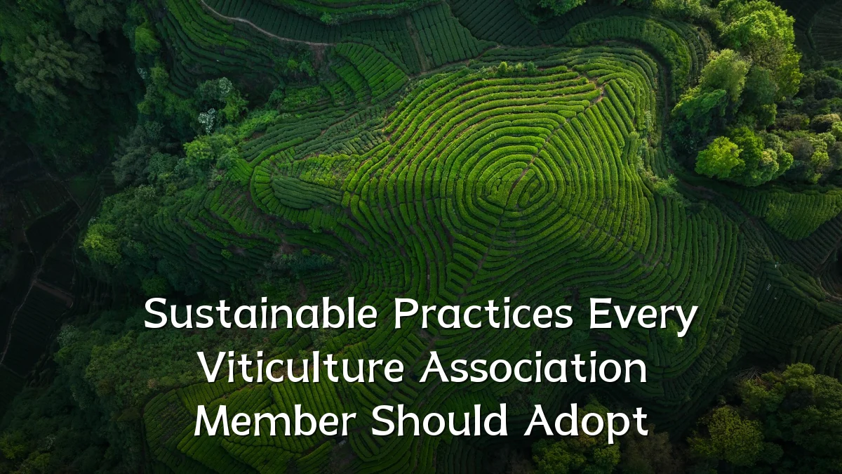 Sustainable Practices Every Viticulture Association Member Should Adopt