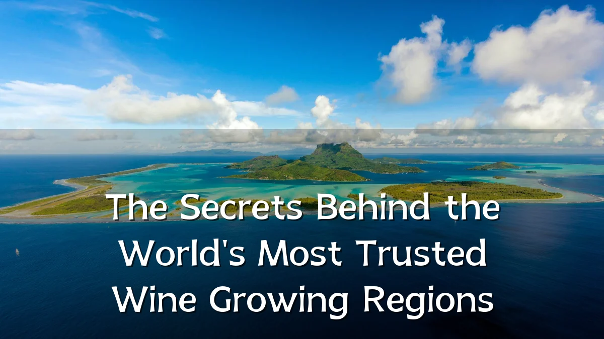 The Secrets Behind the World's Most Trusted Wine Growing Regions
