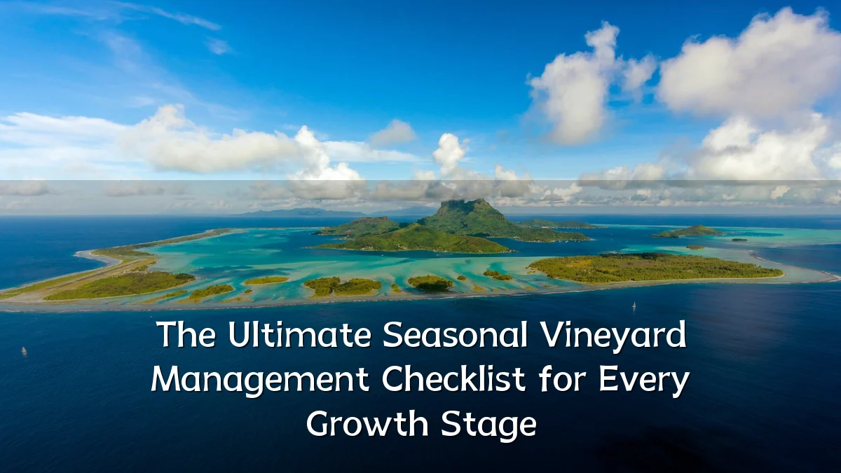 The Ultimate Seasonal Vineyard Management Checklist for Every Growth Stage