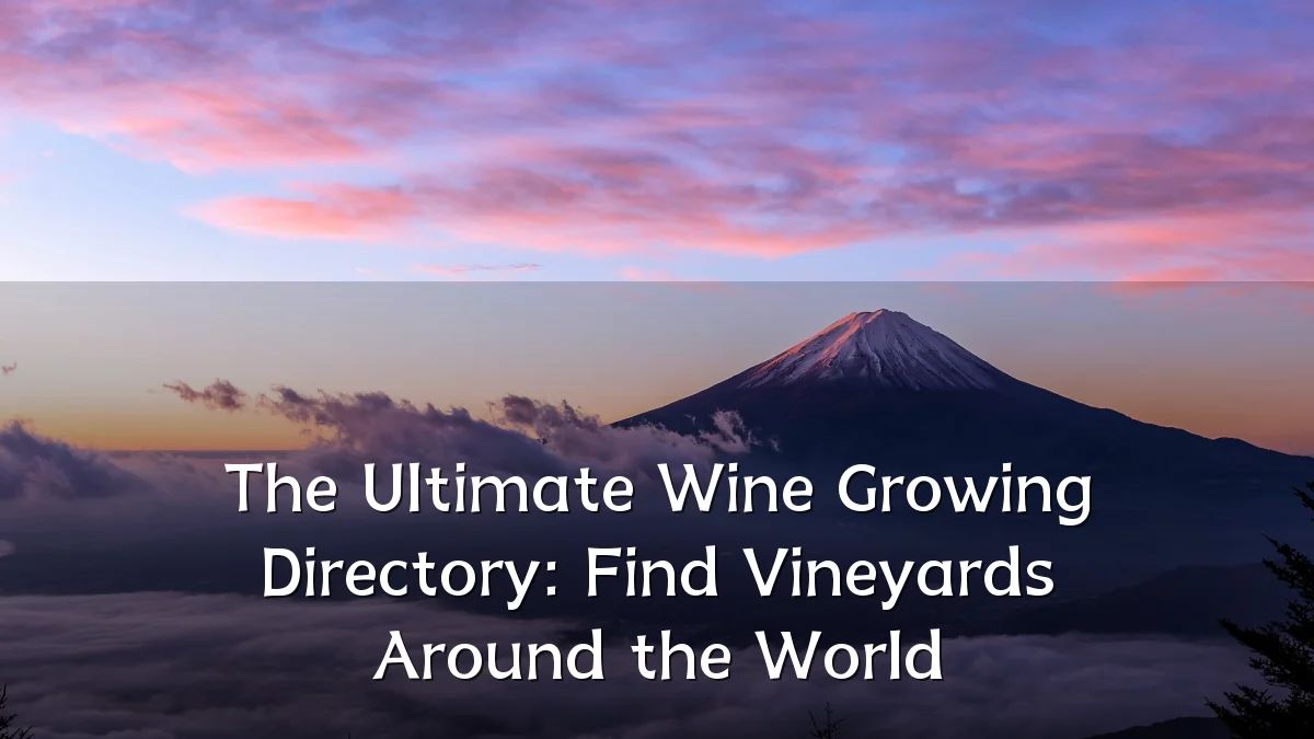 The Ultimate Wine Growing Directory: Find Vineyards Around the World