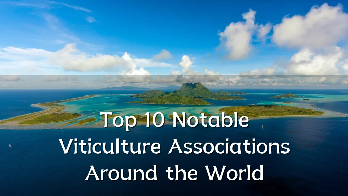 Top 10 Notable Viticulture Associations Around the World