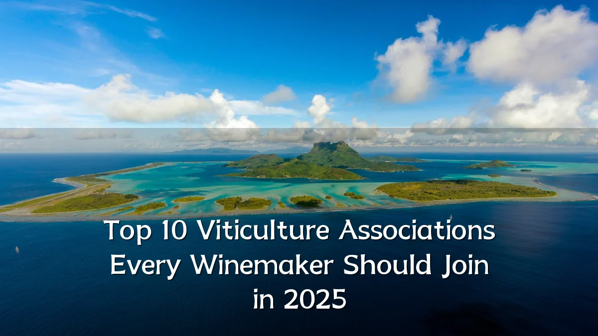 Top 10 Viticulture Associations Every Winemaker Should Join in 2025