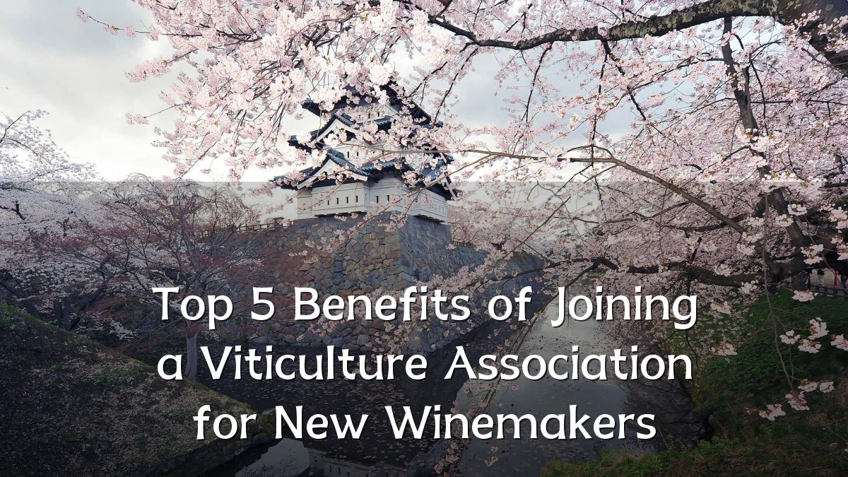 Top 5 Benefits of Joining a Viticulture Association for New Winemakers
