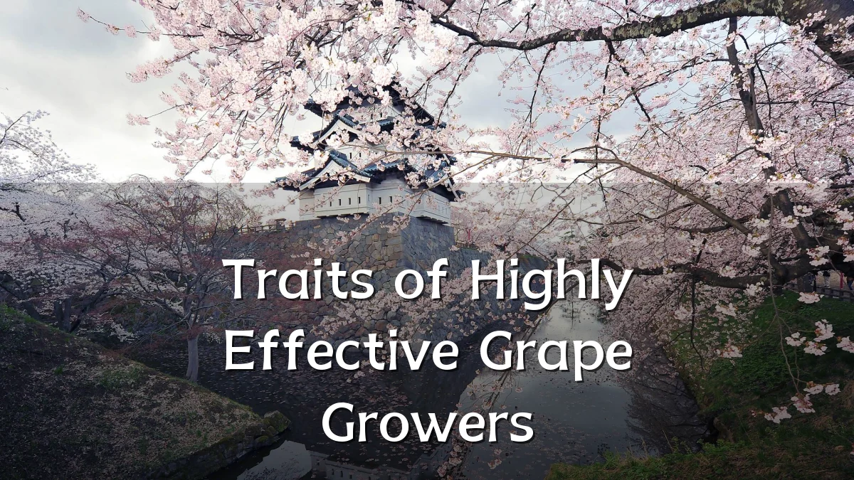 Traits of Highly Effective Grape Growers