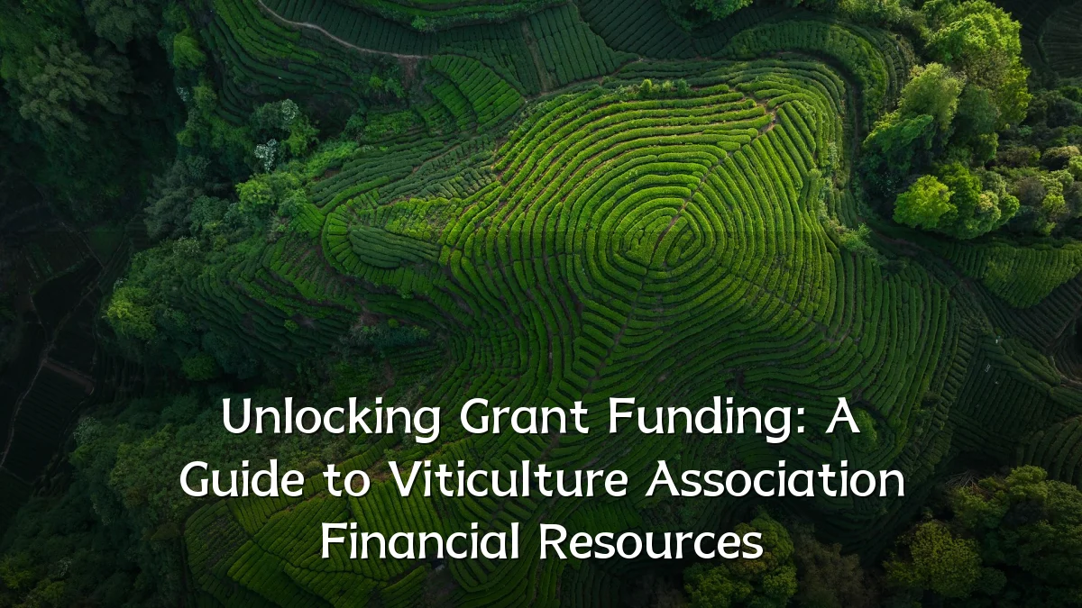 Unlocking Grant Funding: A Guide to Viticulture Association Financial Resources