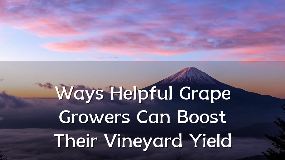 Ways Helpful Grape Growers Can Boost Their Vineyard Yield