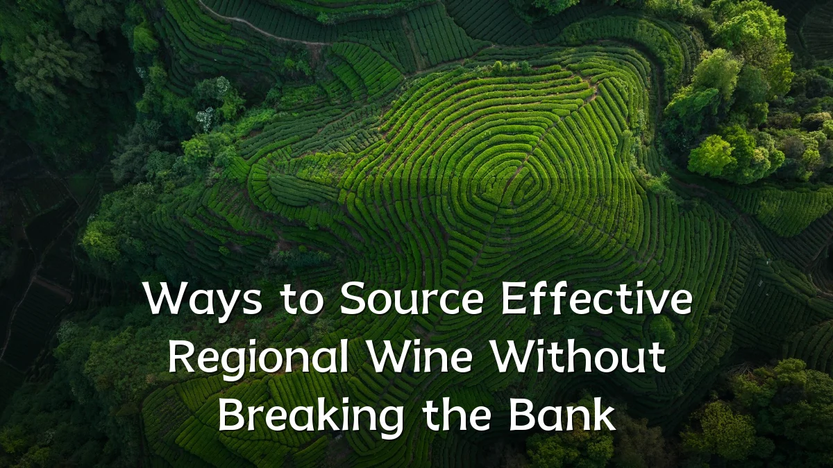 Ways to Source Effective Regional Wine Without Breaking the Bank