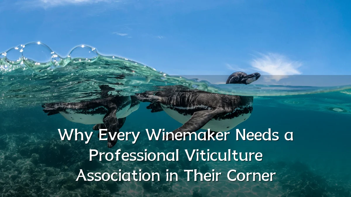 Why Every Winemaker Needs a Professional Viticulture Association in Their Corner