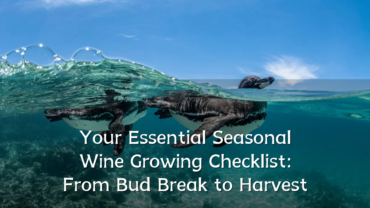 Your Essential Seasonal Wine Growing Checklist: From Bud Break to Harvest