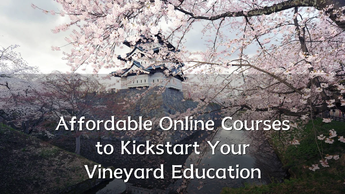 Affordable Online Courses to Kickstart Your Vineyard Education