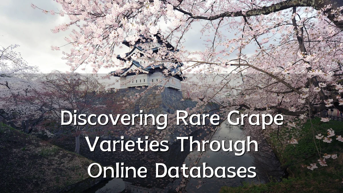 Discovering Rare Grape Varieties Through Online Databases