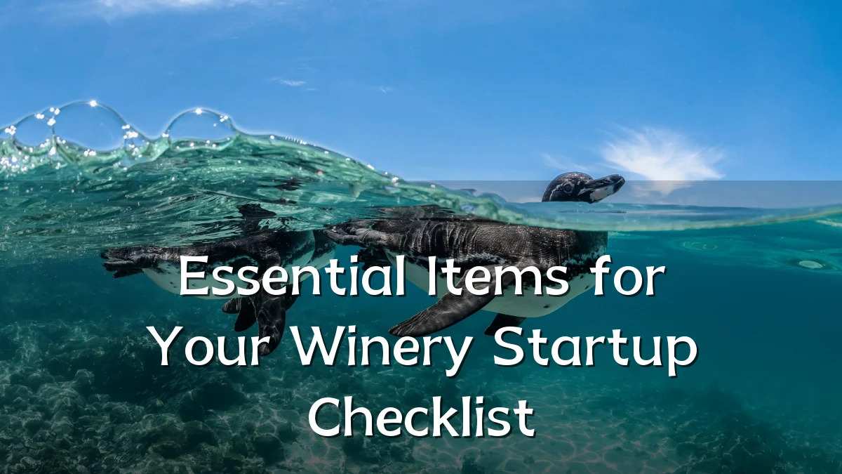 Essential Items for Your Winery Startup Checklist